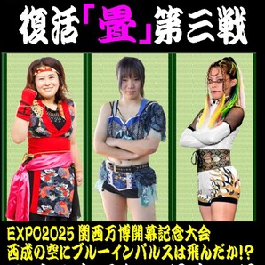 【釜ヶ崎「畳」プロレス】雨天強行開催 釜のおっさん乱入を阻止せよ!【2025年4月13日 西成 三角公園】