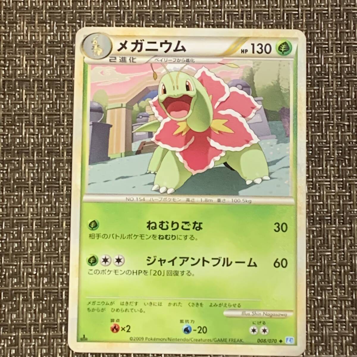 2025年最新】Yahoo!オークション -ポケモンカード メガニウムの 2025年最新】Yahoo!オークション -ポケモンカード メガニウムの
