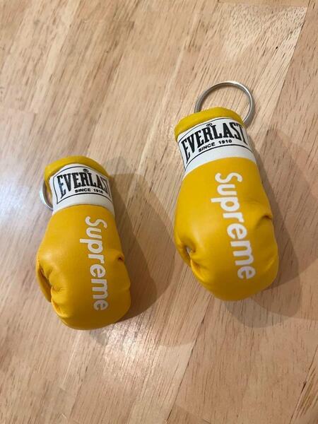 EVERLAST エバーラスト モデル ボクシング ミニチュアグローブ