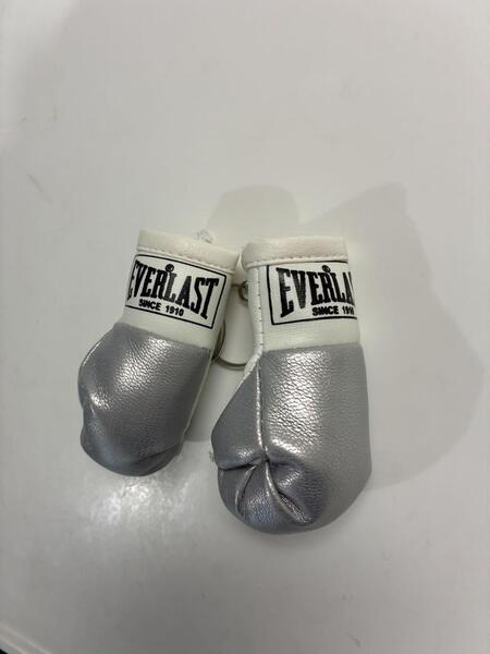 EVERLAST エバーラスト モデル ボクシング ミニチュアグローブ 銀2
