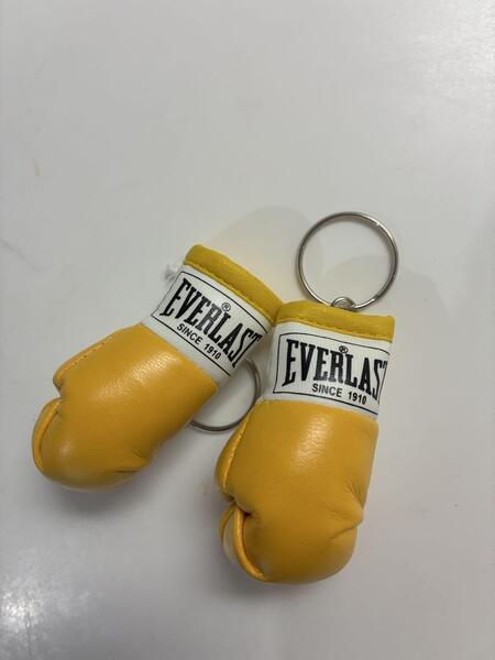 EVERLAST エバーラスト モデル ボクシング ミニチュアグローブ 2個