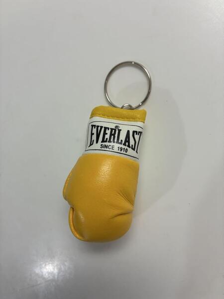 EVERLAST エバーラスト モデル ボクシング ミニチュアグローブ