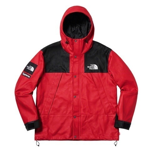 新品デッドストック納品書付SUPREME THE NORTH FACE Leather Mountain Parka Red シュプリーム レザー マウンテン パーカー レッド S