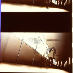 涼宮ハルヒの憂鬱 涼宮ハルヒの消失 フィルムブックマーク フィルム