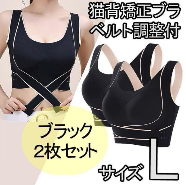 大人気再入荷!猫背矯正ブラ 2枚セット L ノンワイヤー ナイトブラ ブラック