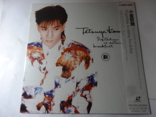 LD 小室哲哉「Digitalian is eating breakfast」1990年 ライブ映像 RUNNING TO HORIZON、SEVEN DAYS WAR、他 <レーザーディスク>