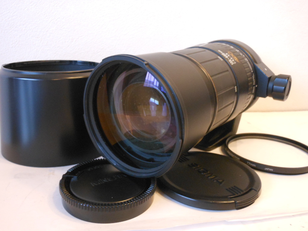 2025年最新】Yahoo!オークション -sigma apo 135-400mmの中古品 2025年最新】Yahoo!オークション -sigma apo 135-400mmの中古品