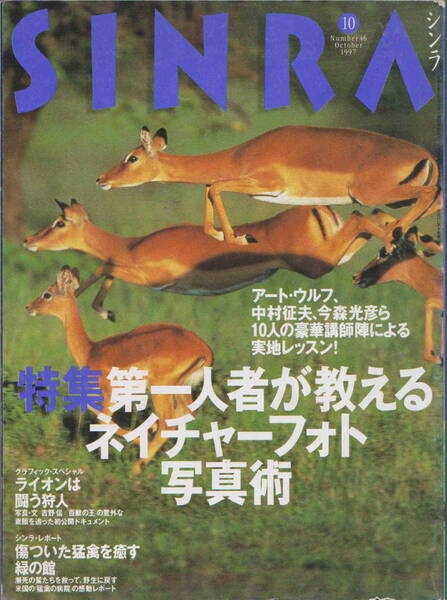 ★「SINRA シンラ 1997年10月号 特集 第一人者が教えるネイチャーフォト写真術」