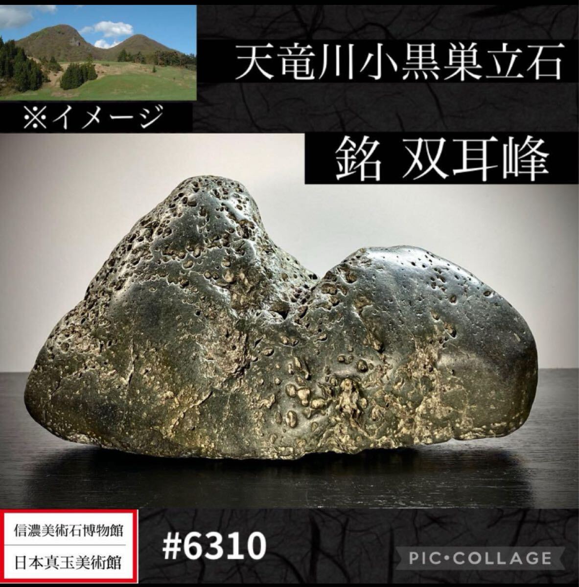 Yahoo!オークション -「天竜川」(盆栽) の落札相場・落札価格