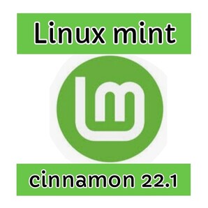 Linux OS Linux mint cinnamon 22.1 64bit 起動 disk①