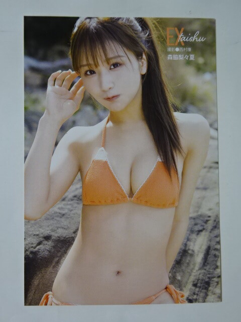 新品未使用 森脇梨々夏 イベント限定特典 B2ポスター
