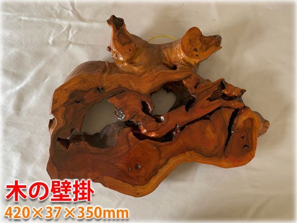 2025年最新】Yahoo!オークション -木 根っこの中古品・新品・未 2025年最新】Yahoo!オークション -木 根っこの中古品・新品・未