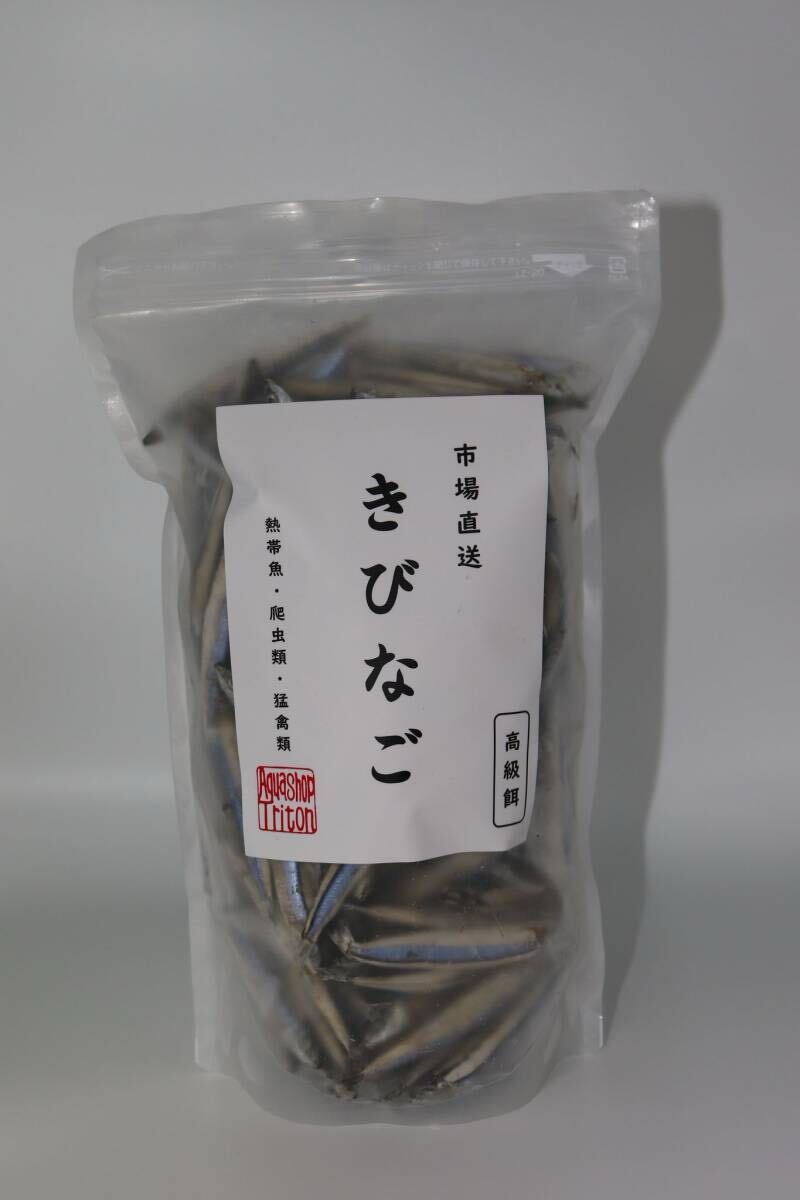 2025年最新】Yahoo!オークション -キビナゴの中古品・新品・未 2025年最新】Yahoo!オークション -キビナゴの中古品・新品・未