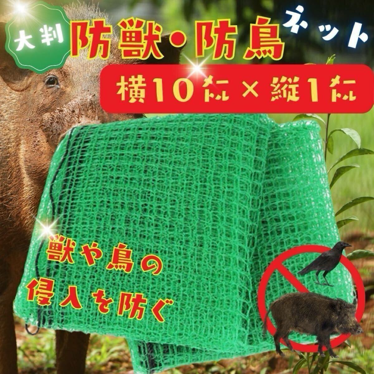 2025年最新】Yahoo!オークション -防鳥ネットの中古品・新品・未 2025年最新】Yahoo!オークション -防鳥ネットの中古品・新品・未
