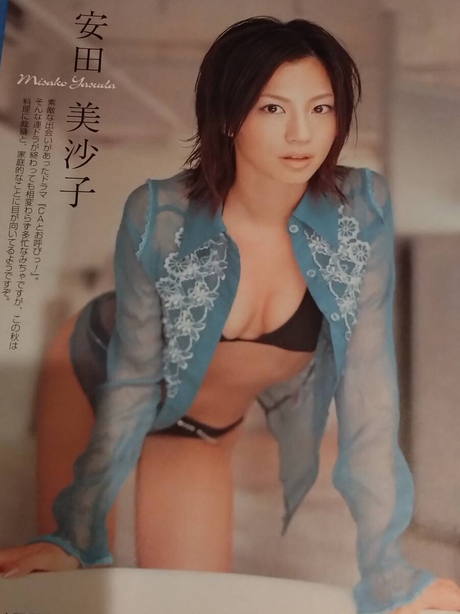 安田美沙子 グラビア切り抜き DVD未開封 週刊ヤングサンデー No.1012