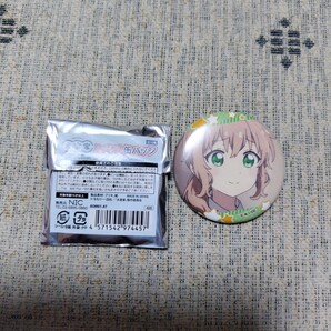大室家dear sistersトレーディングシーン切り取り 缶バッジ園川めぐみ