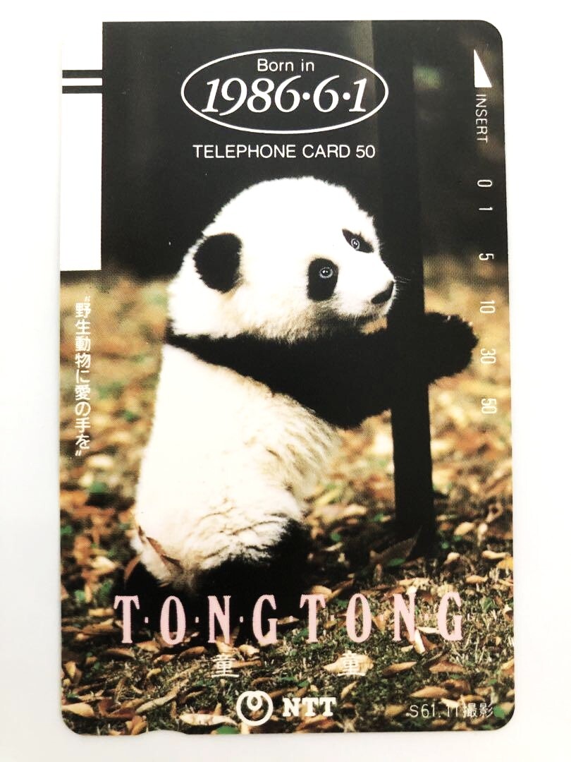 ジャイアントパンダ 　ポスター(昭和当時品)　長期保管品 2025年最新】Yahoo!オークション -トントン パンダの中古品