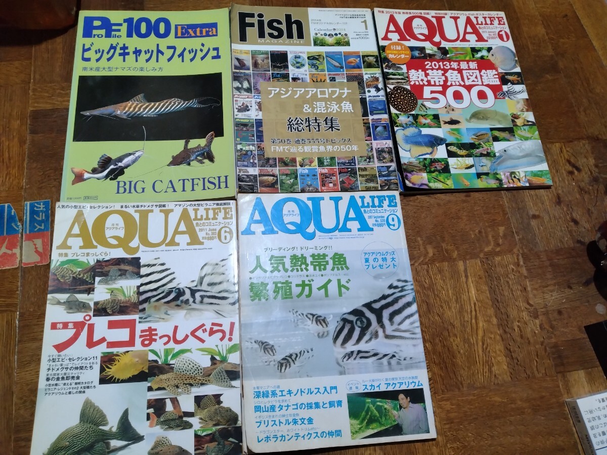 2025年最新】Yahoo!オークション -アクアマガジンの中古品・新品 2025年最新】Yahoo!オークション -アクアマガジンの中古品・新品