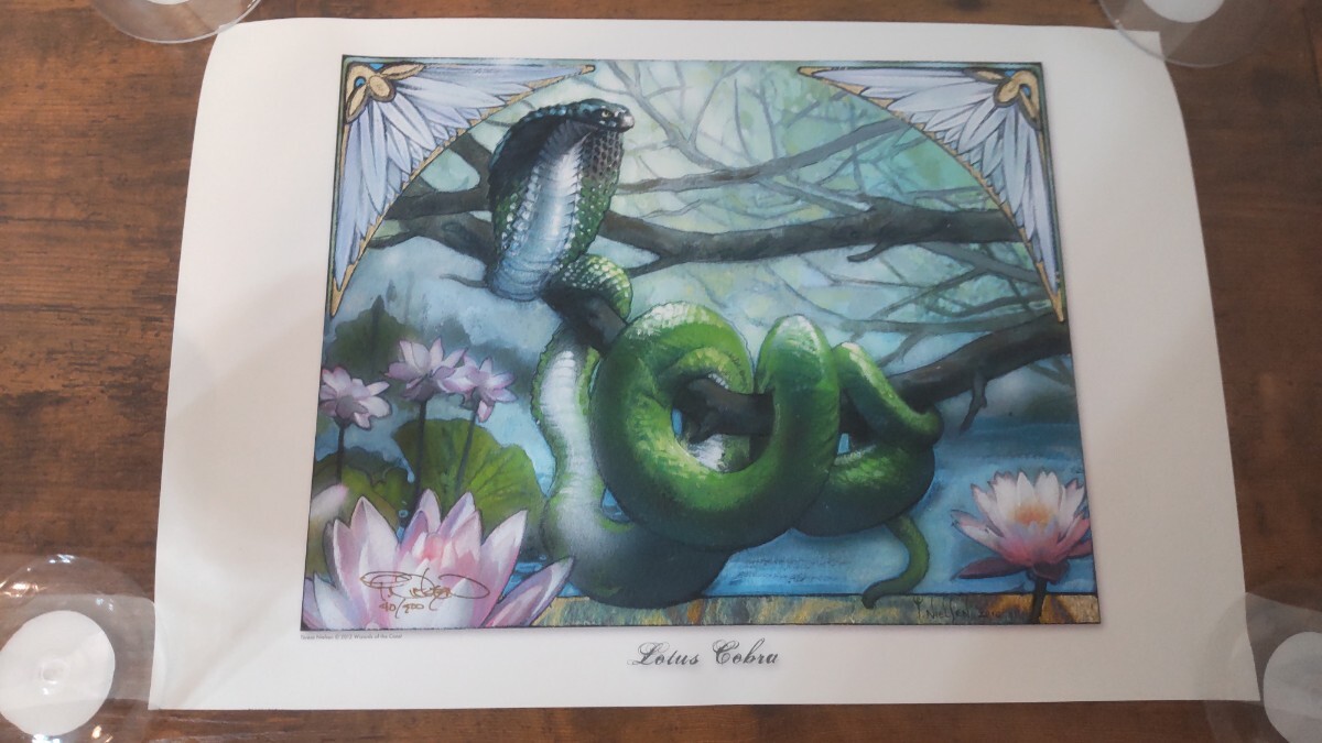 2025年最新】Yahoo!オークション -mtg 原画の中古品・新品・未 2025年最新】Yahoo!オークション -mtg 原画の中古品・新品・未