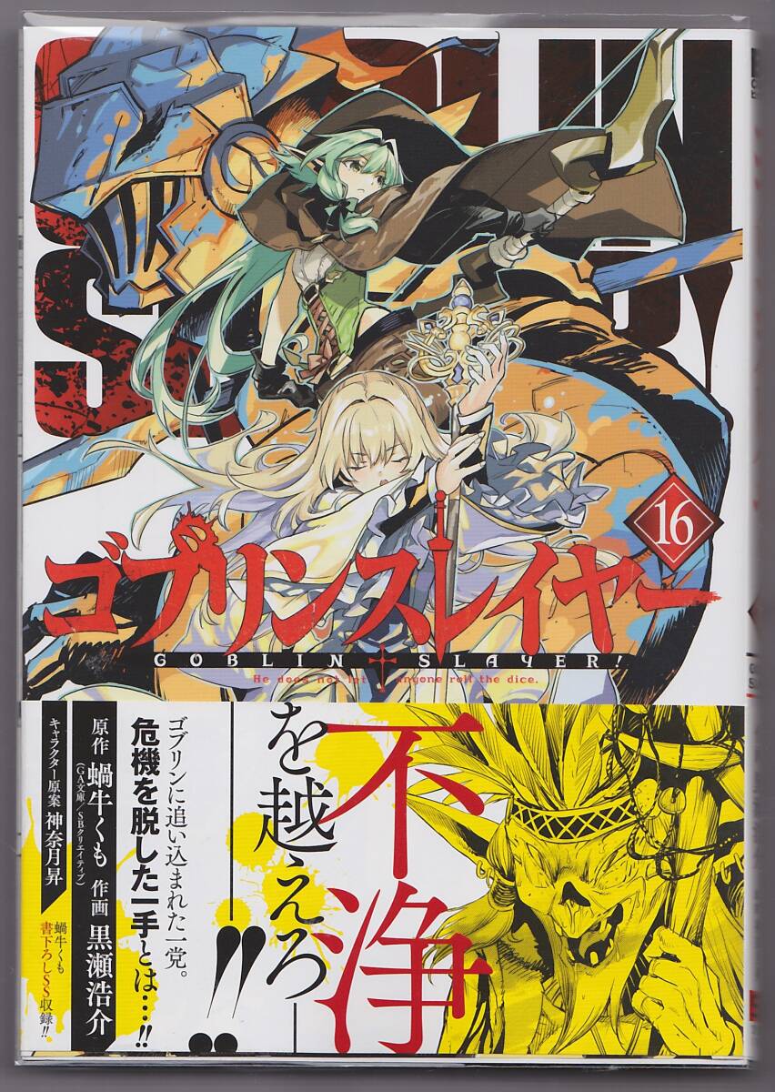 Amazon.co.jp: ゴブリンスレイヤー(16) (ビッグガンガン