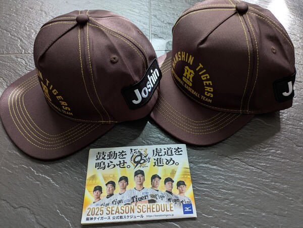 送料無料!阪神タイガース 甲子園 カレッジキャップ 2点セット