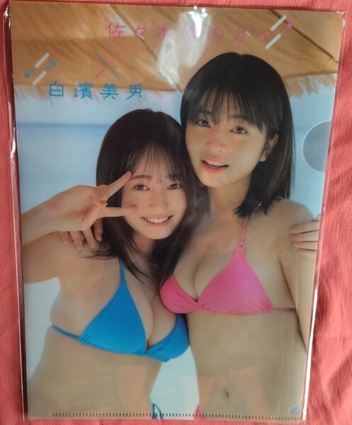 佐々木ほのか&白濱美兎 B5クリアファイル 未開封 2025年YG特別付録