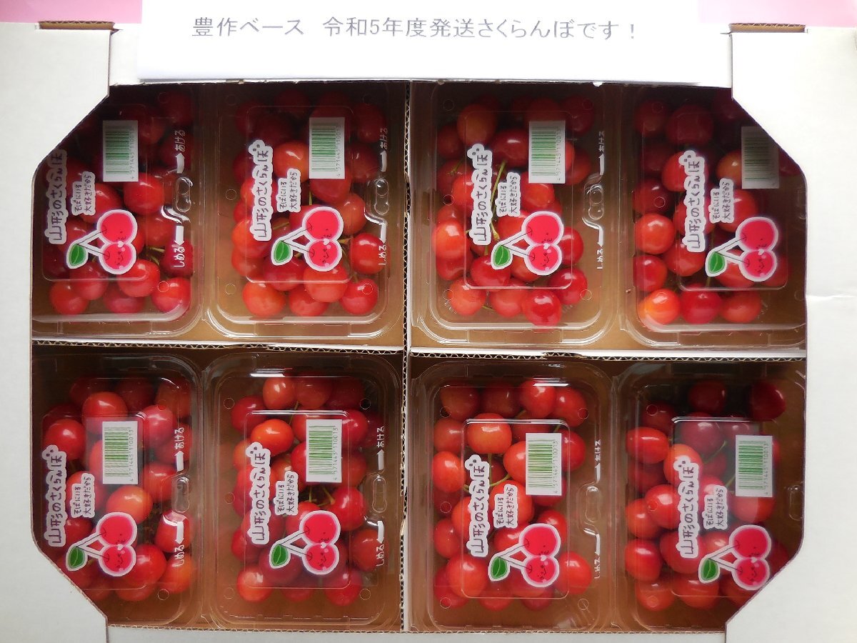 厳選 完熟出荷 山形東根産 さくらんぼ 佐藤錦 秀品L～LL 1.6kg（200ｇ×８パック詰め） 初夏のルビーの輝き！！