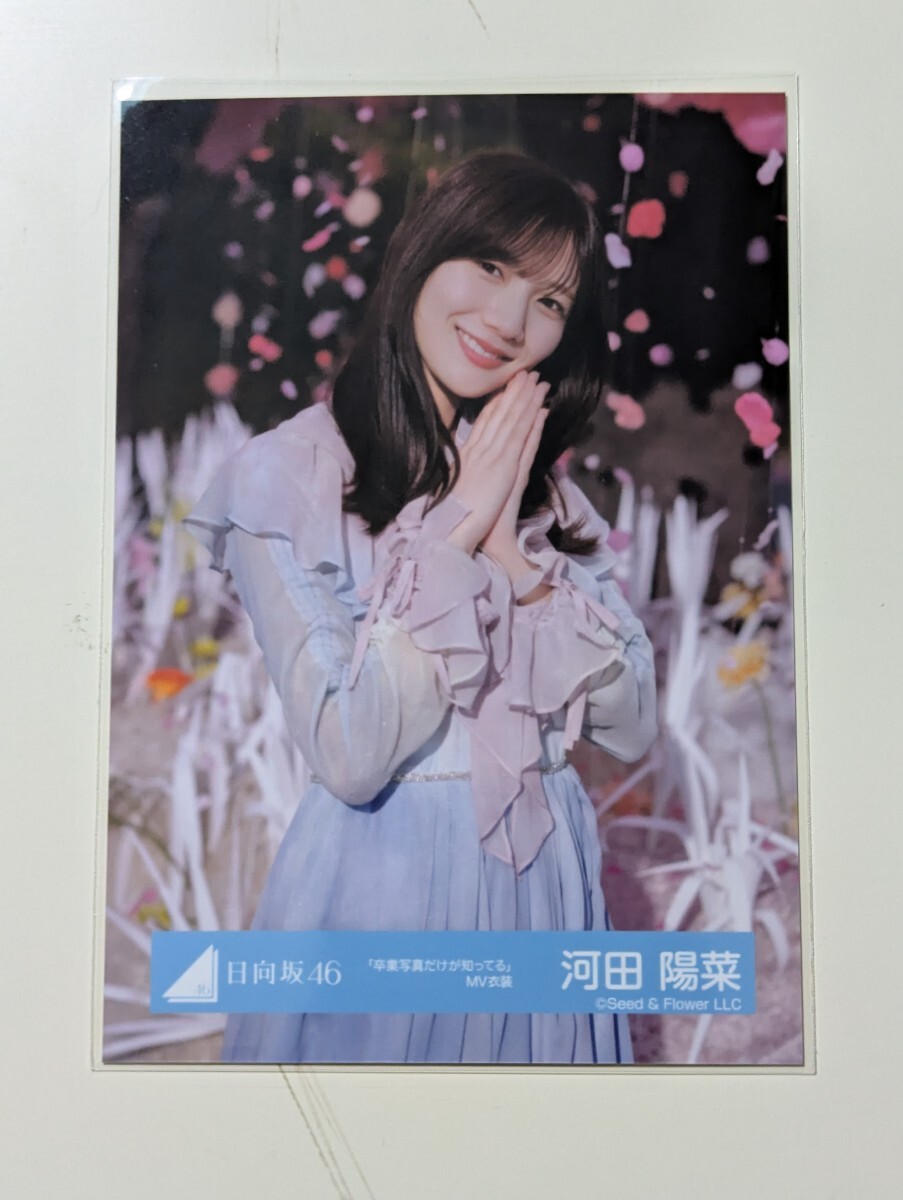 2025年最新】Yahoo!オークション -河田陽菜 生写真の中古品