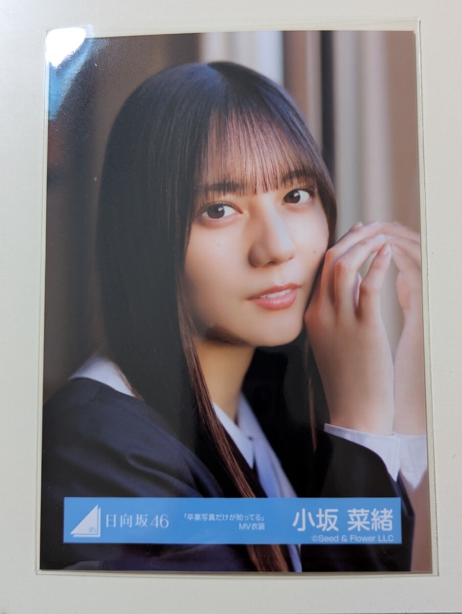 2025年最新】Yahoo!オークション -小坂菜緒 生写真の中古品 2025年最新】Yahoo!オークション -小坂菜緒 生写真の中古品