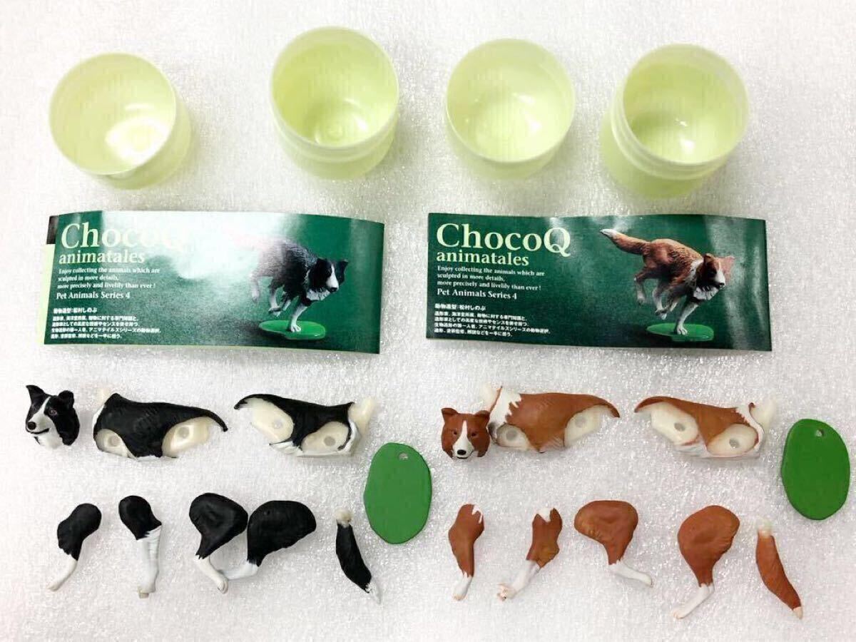 チョコQ ペット動物 第4弾 アホロートル ゴールデン ミニブック