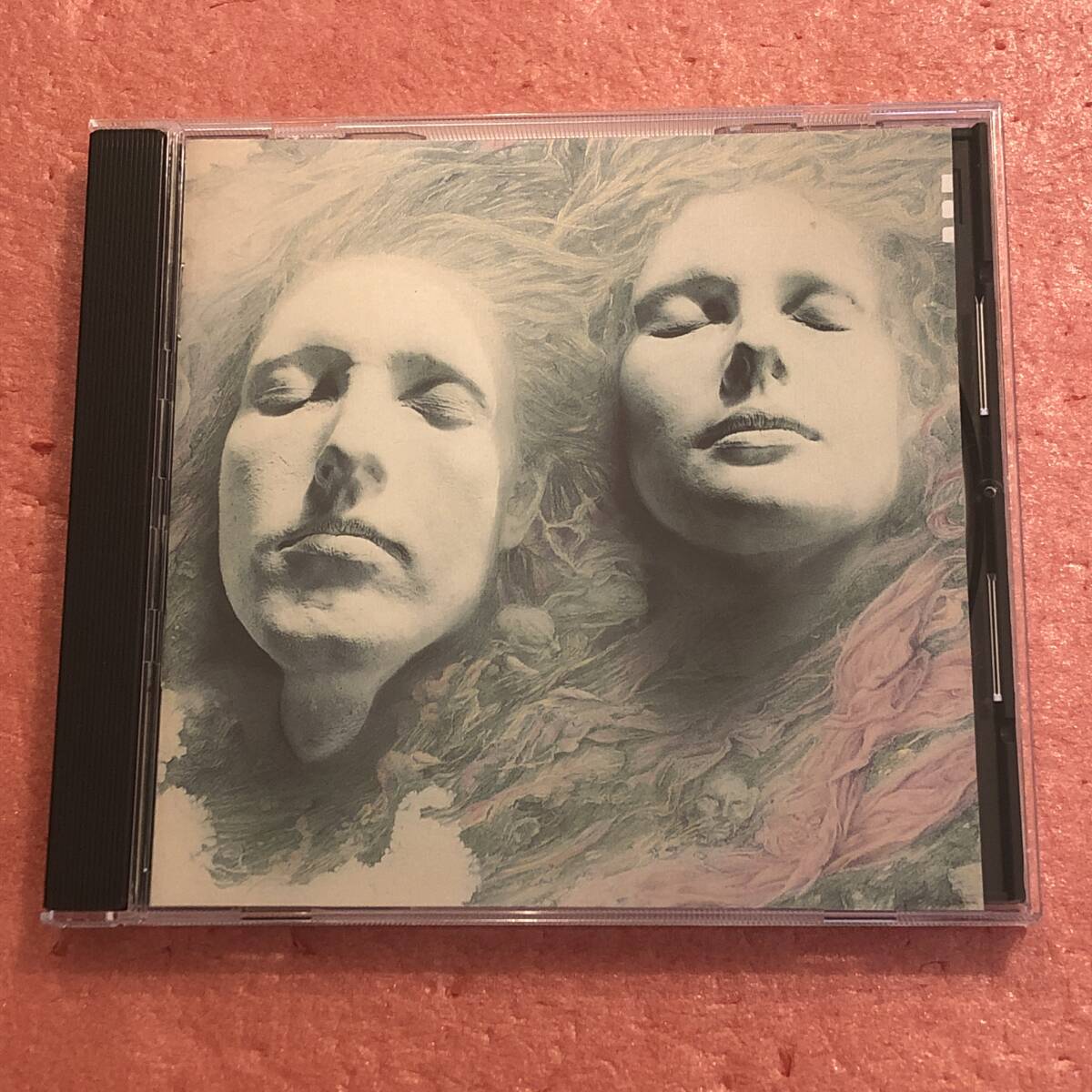 CD シェリアン・オーファン センチュリー・フラワー  VDP1482PROMO Rough Trade プロモ 未開封 /00110 Amazon.co.jp: Shelleyan Orphan シェリアン・オーファン