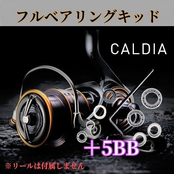 21カルディア フルベアリングキット +5BB ハンドルノブ調整用シム付 ダイワ DAIWA ステンレス