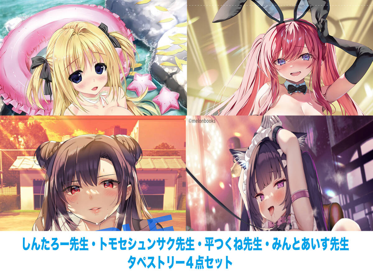 しんたろー B2 タペストリー 軸中心祭2017 private beach しんたろー B2 タペストリー 軸中心祭2017 private beach