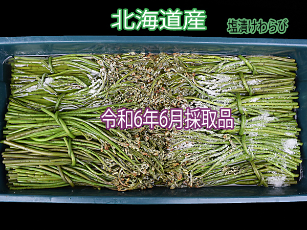 ■北海道産 塩蔵ワラビ 令和6年6月採取品 538g■食品表示済■