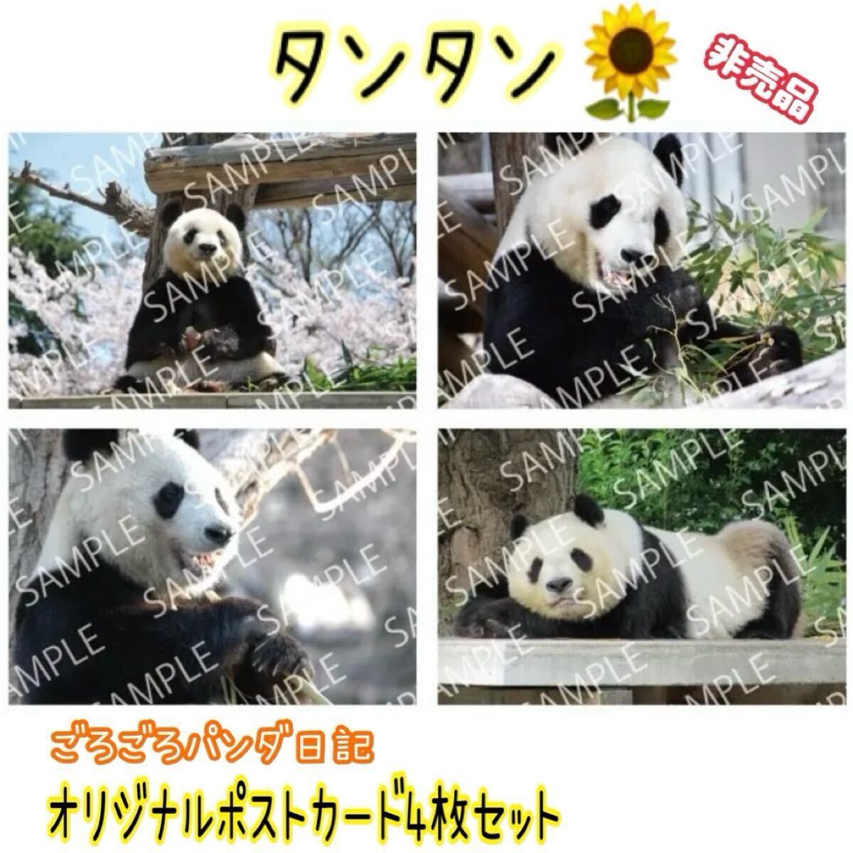 2025年最新】Yahoo!オークション -タンタン パンダの中古品 2025年最新】Yahoo!オークション -タンタン パンダの中古品