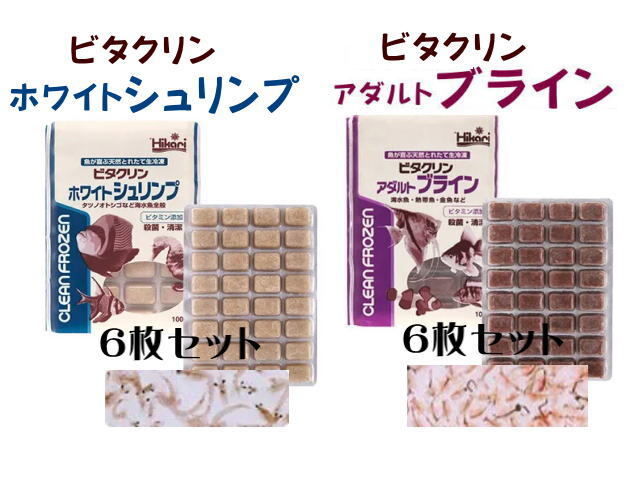 2025年最新】Yahoo!オークション -冷凍 赤虫の中古品・新品・未 2025年最新】Yahoo!オークション -冷凍 赤虫の中古品・新品・未