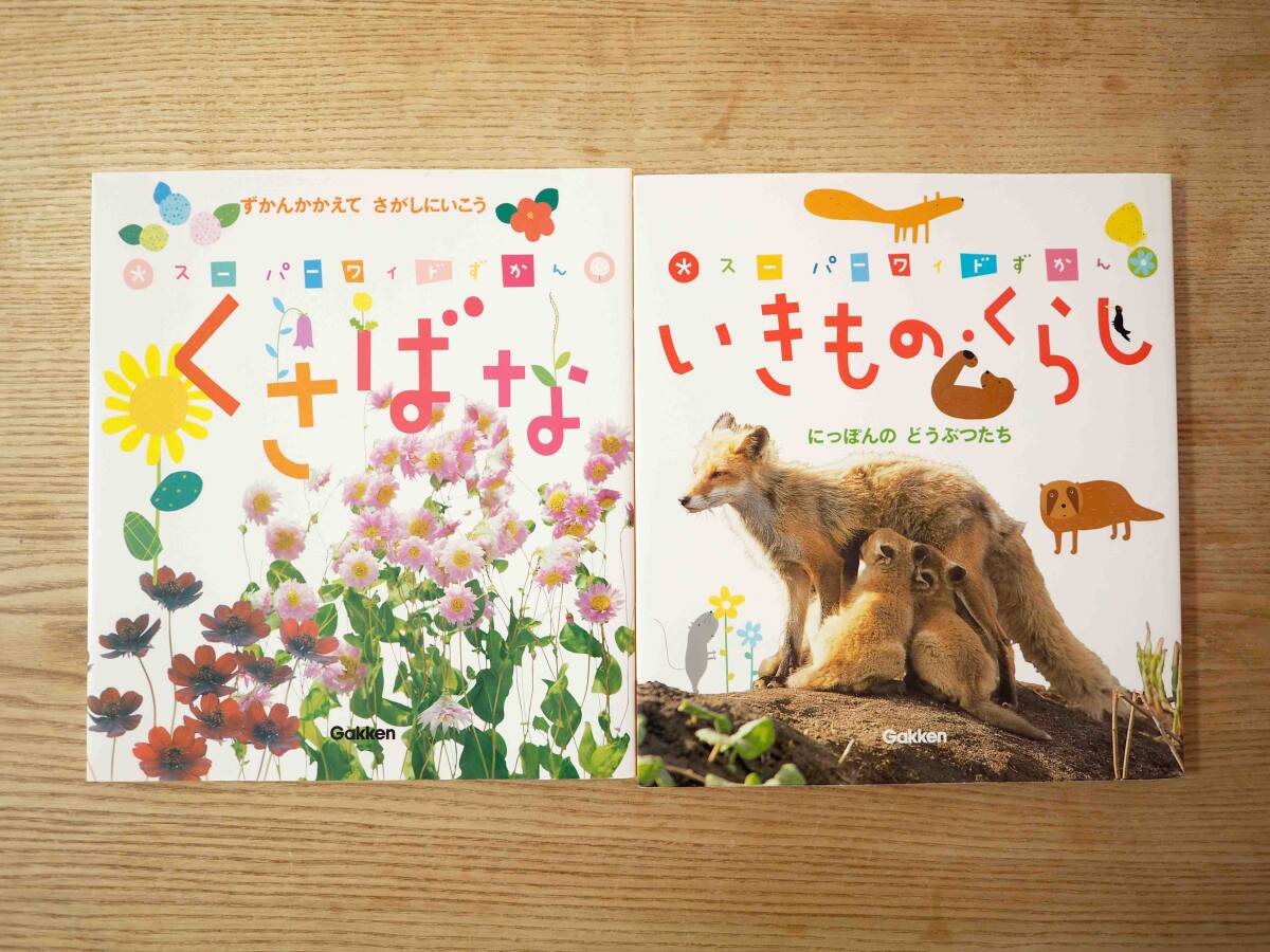 2025年最新】Yahoo!オークション -スーパーワイドずかんの中古品