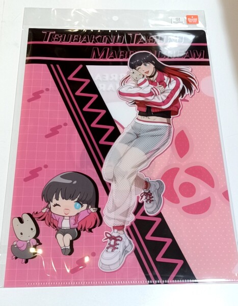 WINDBREAKER×サンリオ 椿野拓 クリアファイル ウインドブレイカー×サンリオ マロンクリーム