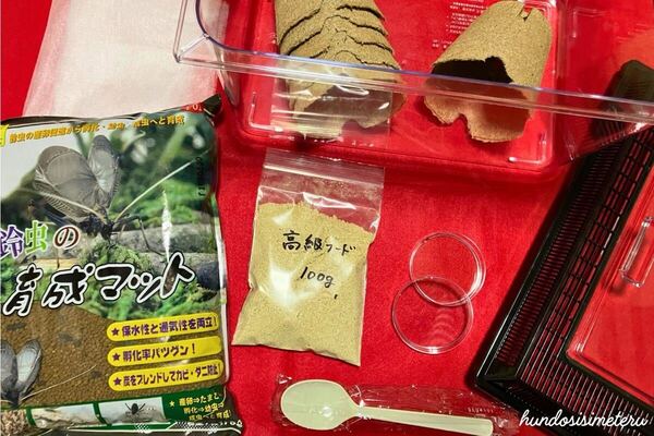 スズムシの飼育セット 鈴虫 高級フード シェルター エサ皿 マット ☆飼育ケース 鈴虫の飼育・繁殖に☆