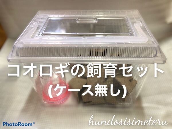 コオロギの飼育セット(ケース無し) 高級フード 給水器 シェルター エサ皿 スプーン