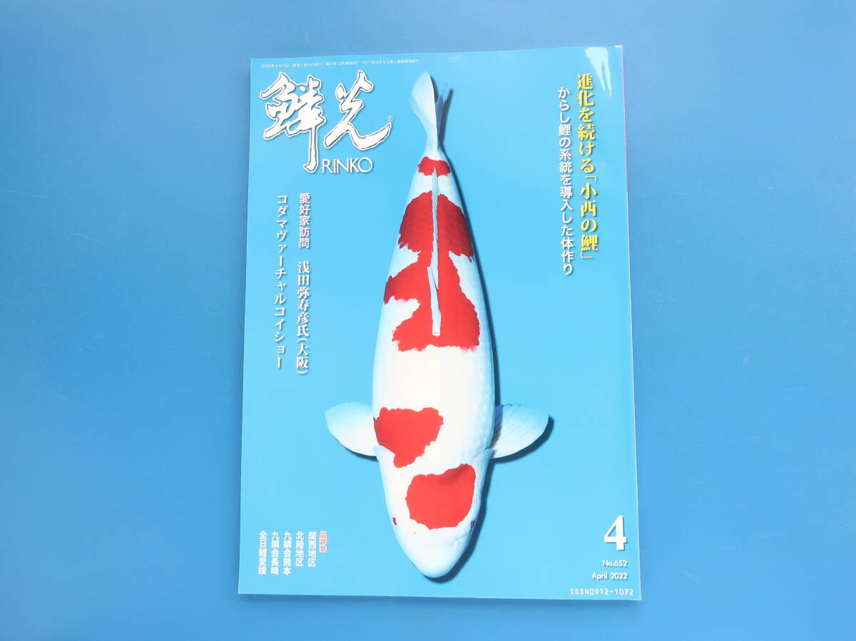 2025年最新】Yahoo!オークション -錦鯉(本、雑誌)の中古品・新品