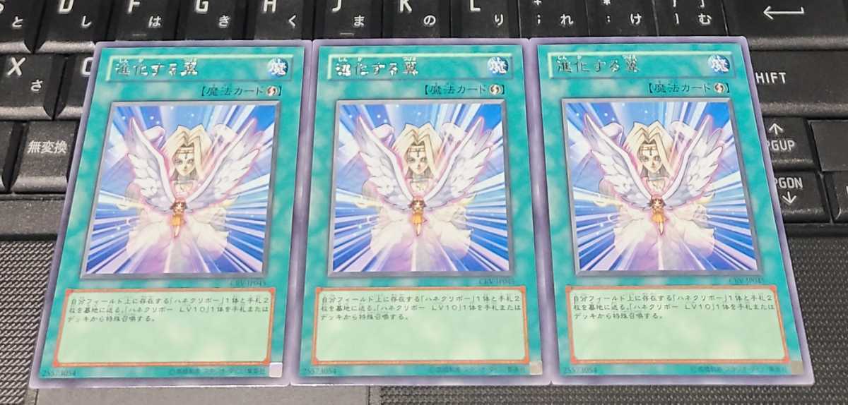 Yahoo!オークション -「進化する翼」の落札相場・落札価格