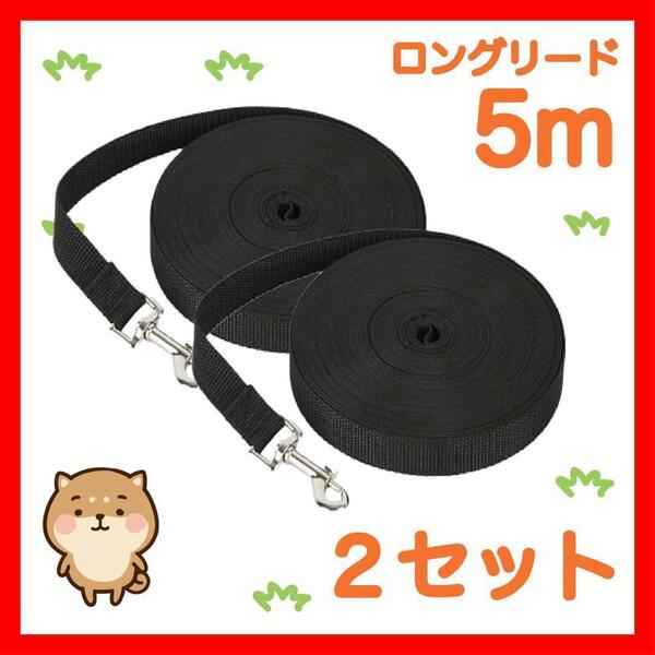 2セット 犬 リード ロングリード 5m 黒 2セットリード5M2