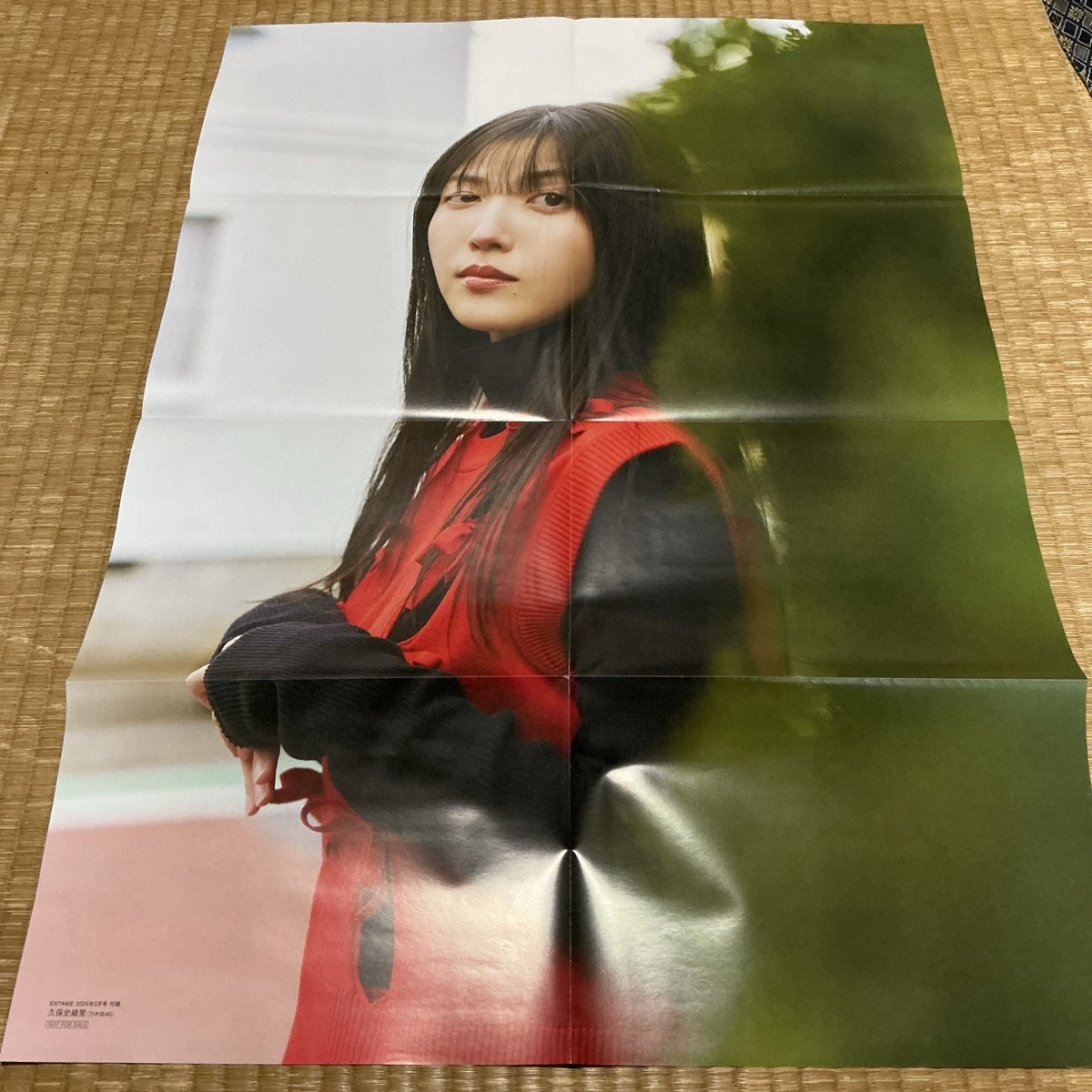 2025年最新】Yahoo!オークション -乃木坂46 ポスター(タレント