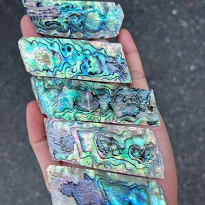 ニュージーランドアワビ貝 アバロン貝 5枚セット 螺鈿細工 ハンドクラフト