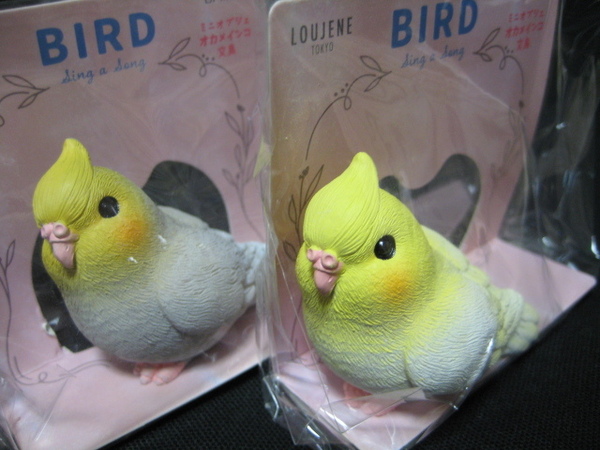 フ ミニ・オブジェ オカメインコ 2種セット 鳥 BIRO