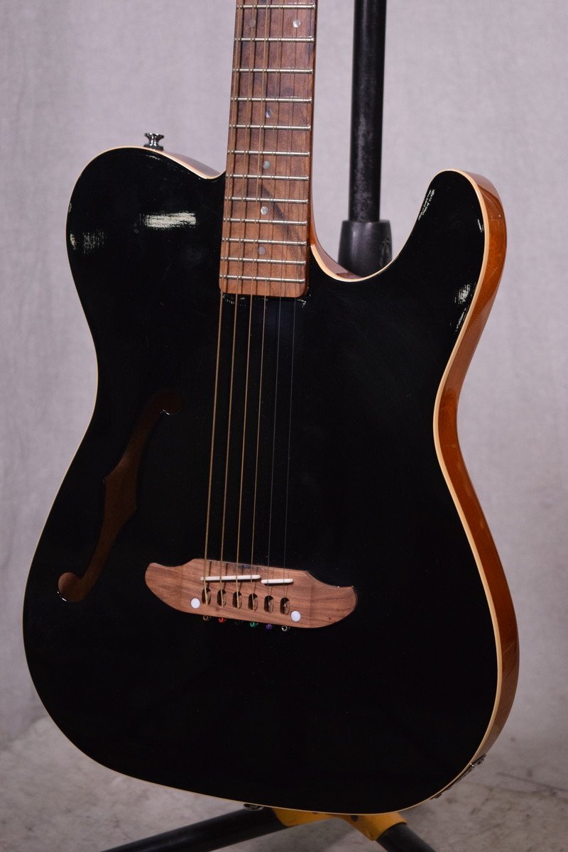 Yahoo!オークション -「schecter」(本体) (アコースティック