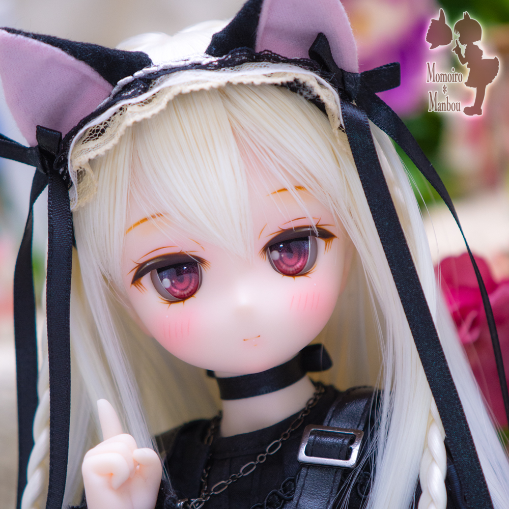 Yahoo!オークション -「ddh 29」の落札相場・落札価格 Yahoo!オークション -「ddh 29」の落札相場・落札価格