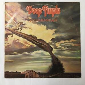 AUSTRALIA DEEP PURPLE STROMBRINGER