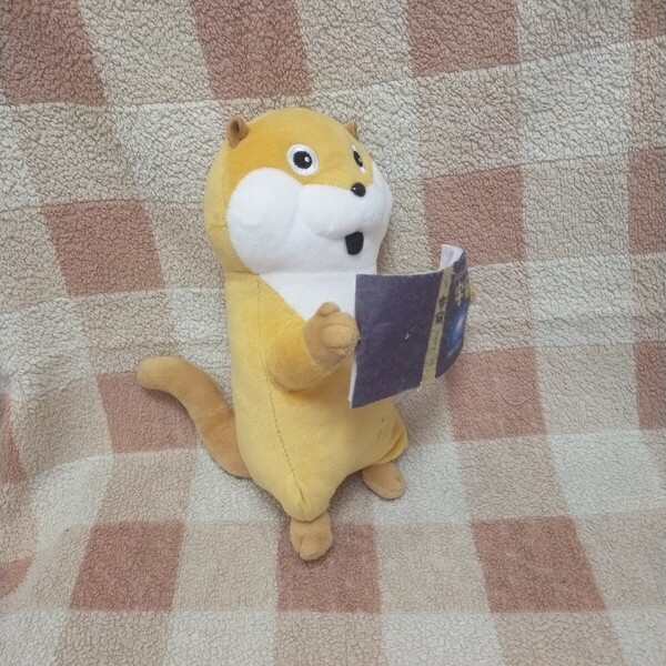 可愛い嘘のカワウソ ぬいぐるみ 読書ぬいぐるみ 宇宙本
